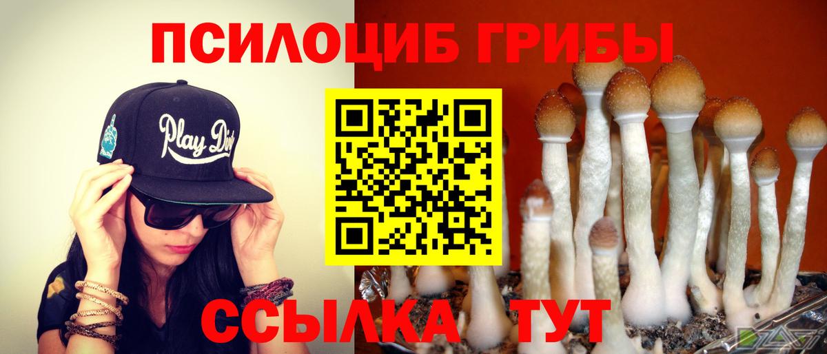 Галлюциногенные грибы Magic Shrooms Великие Луки