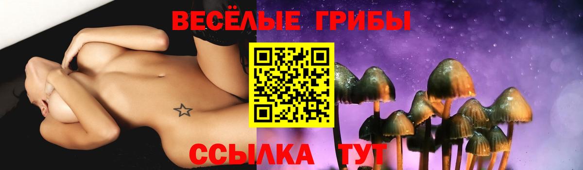 Псилоцибиновые грибы прущие грибы  Вход с VPN  Великие Луки  Галлюциногенные грибы мухоморы 